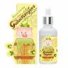 Сыворотка для лица Elizavecca Hell Pore Galactomyces Pure Ample фото 2 — COS ❤️ ME.RU