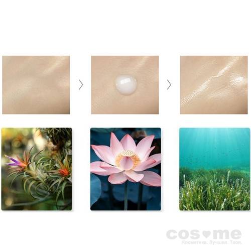 Эссенция для лица защитная THE SAEM ANTI DUST Defence Essence — COS ❤️ ME.RU