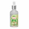 Ампульная сыворотка Elizavecca Witch Piggy Hell-Pore Galactomyces Premium Ample 97% фото 1 — COS ❤️ ME.RU