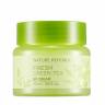 Крем освежающий с экстрактом зеленого чая Nature Republic Fresh Green Tea 80 Cream фото 1 — COS ❤️ ME.RU